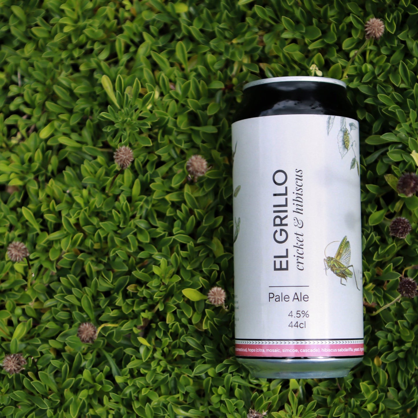 El Grillo 44cl - Weekend (6 Pack)