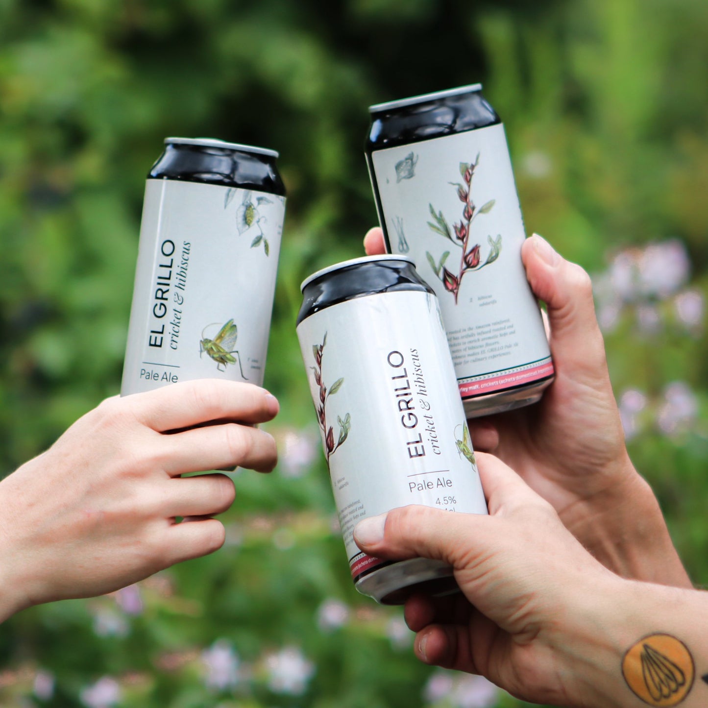 El Grillo 44cl - Fiesta (24 Box)